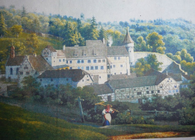 Burg Steinegg